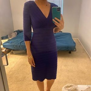 NWT Purple dress- Adrianna Papell